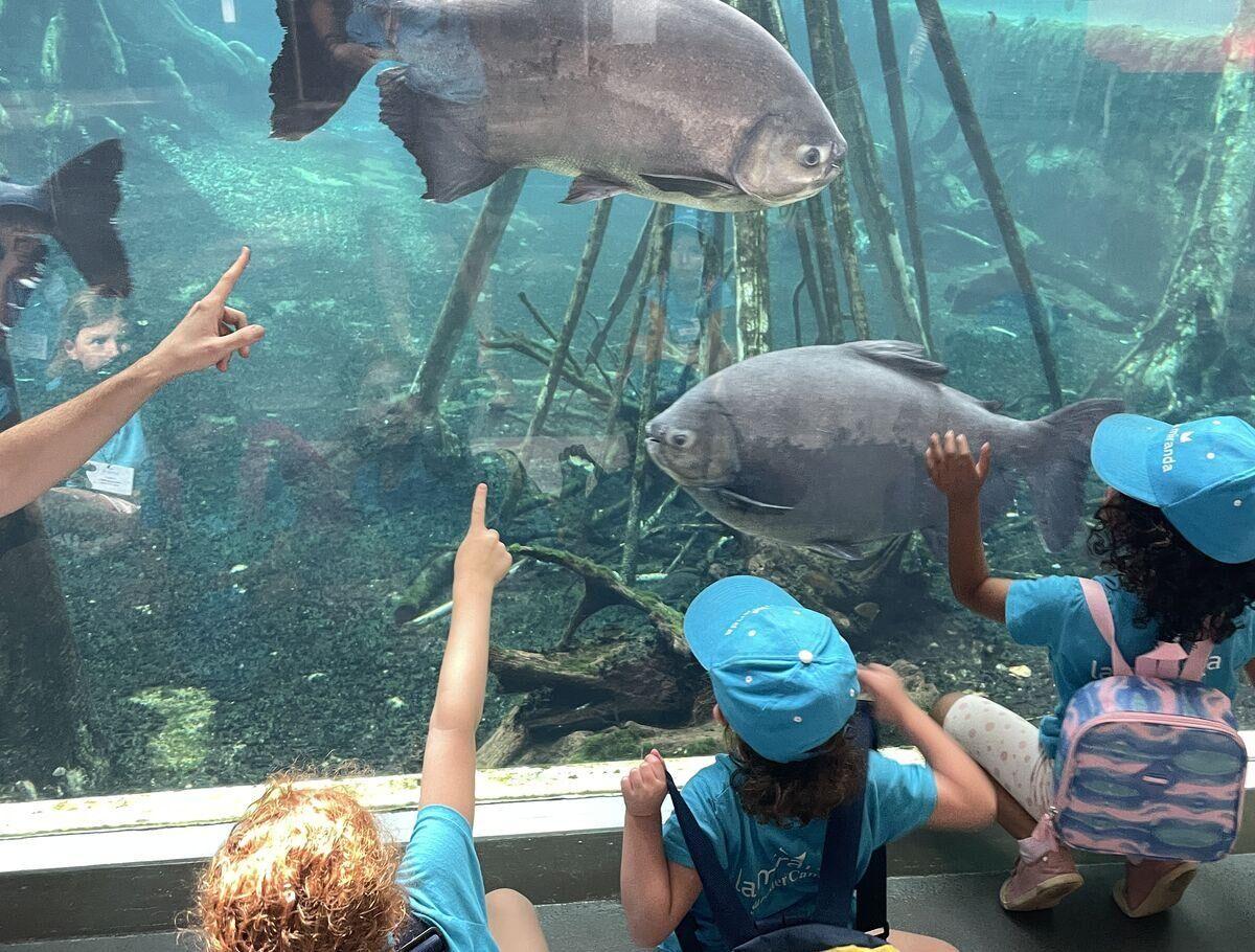 la_miranda_aquarium