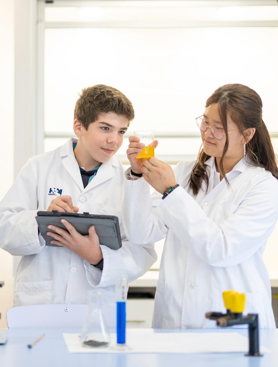 hat subjects are offered in the IBDP